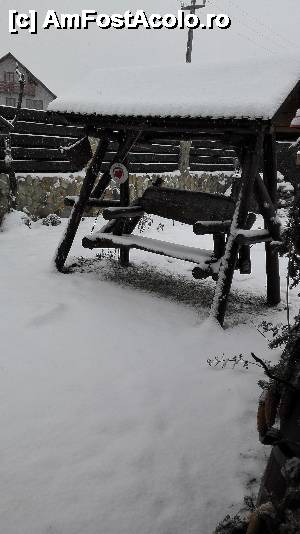 fotografii din vacanta la Casa de vacanţă Căsuţa Verde