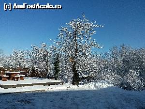 fotografii din vacanta la Pensiunea Ana [Marga, CS]